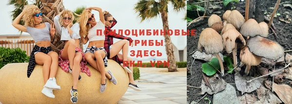 прущие грибы Арсеньев