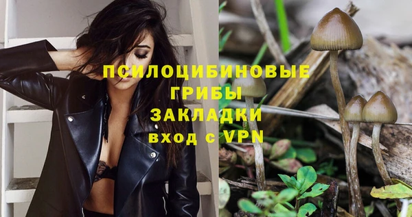 прущие крисы Аркадак
