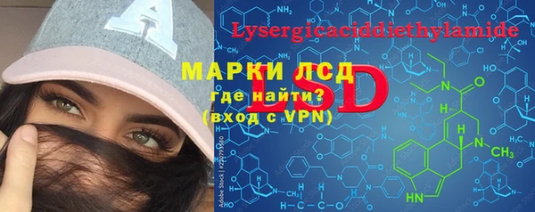 прущие грибы Арсеньев