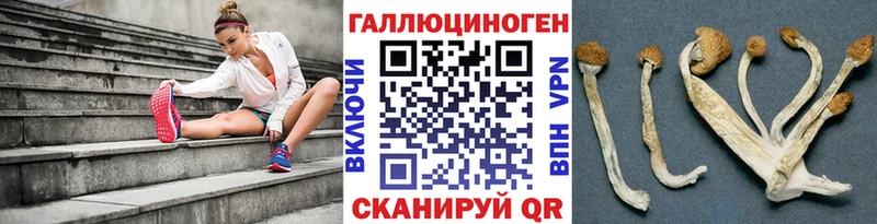 Галлюциногенные грибы Cubensis Россошь